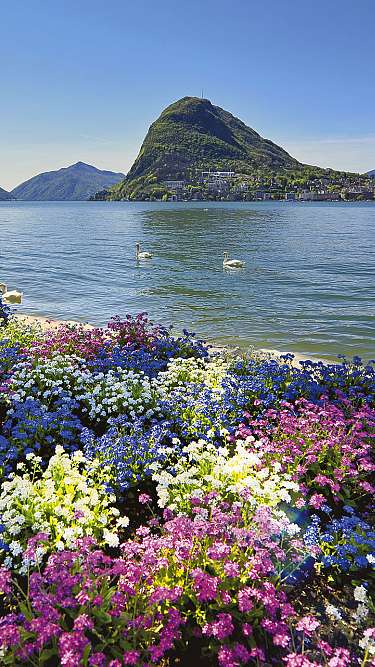 Parco Ciani Lugano